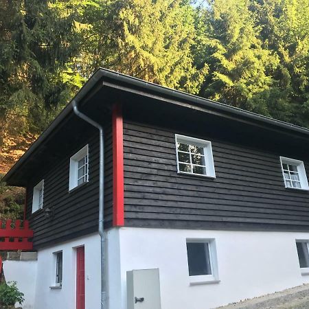 Schöna Blockhaus Im Kuckuckswinkel 빌라 외부 사진